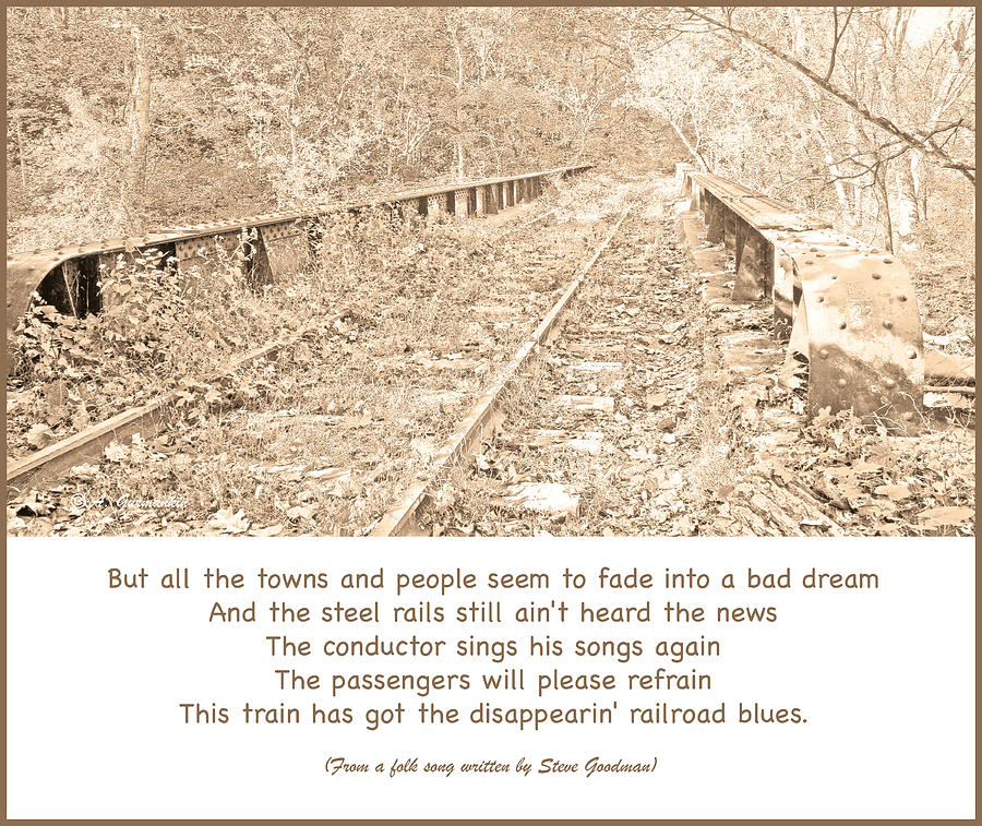 Abandoned Railroad Tracks  Photograph by A Macarthur Gurmankin