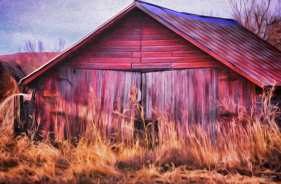 Abandoned Red Barn Photograph by Anna Louise