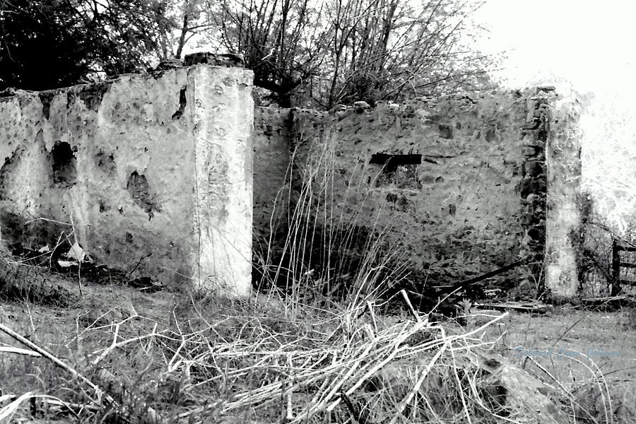 Abandoned Ruin Photograph by Deborah  Crew-Johnson