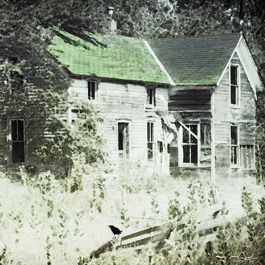 Abandoned Rural House Photograph by Anna Louise