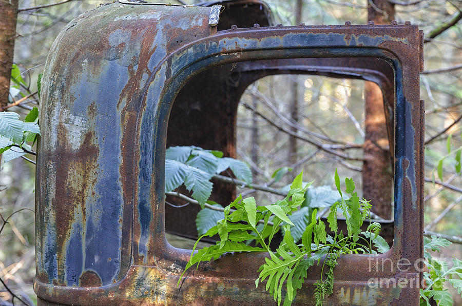Nature Photograph - Abandoned Rusted Car - New Hampshire Forest by Erin Paul Donovan