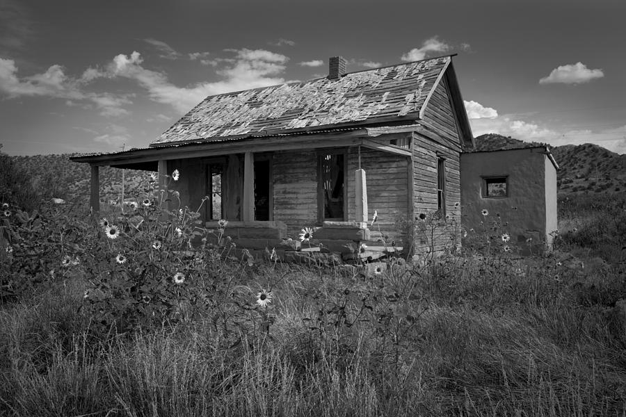 Abandoned Shack, Cuervo, New Mexico Photograph by Rick Pisio