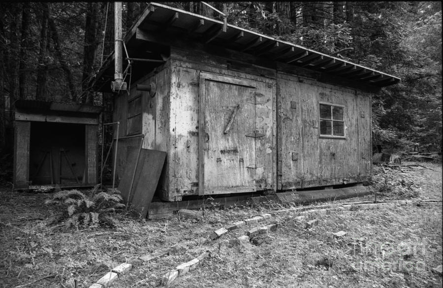 Abandoned Shed Photograph by Steve Ruddy