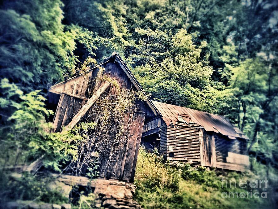 Abandoned Tin Roofs Photograph by Anthony Ackerman - Fine Art America