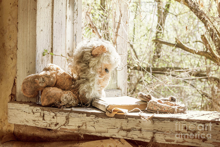 Abandoned Toys Photograph by Juli Scalzi