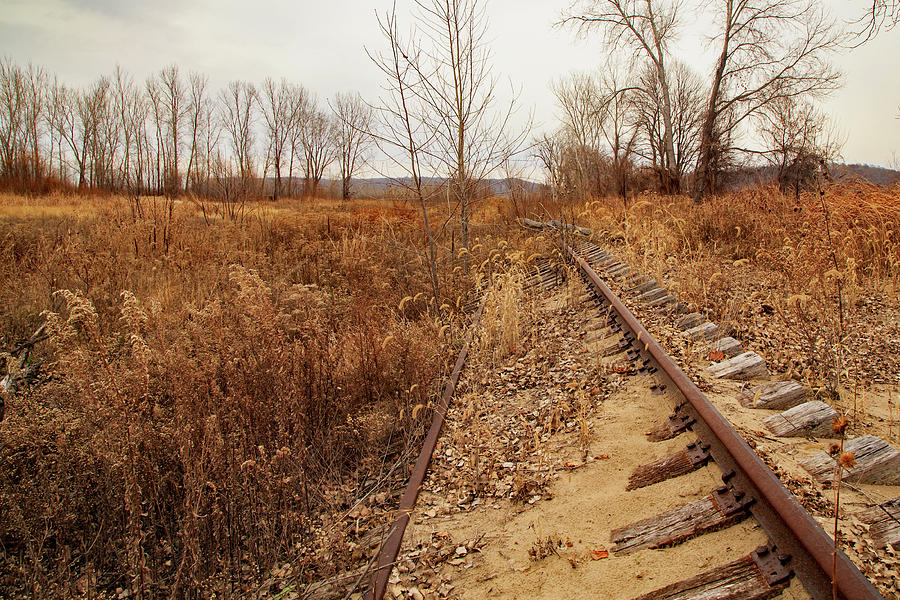 Abandoned Tracks Photograph by Kevin Anderson Abandoned Tracks Photograph by Kevin Anderson