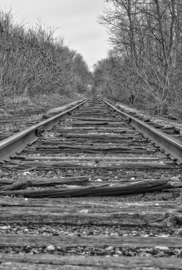 Abandoned Tracks Photograph By Michael Colgate