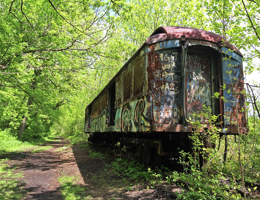 Abandoned Train Car Photograph by Elsa Santoro