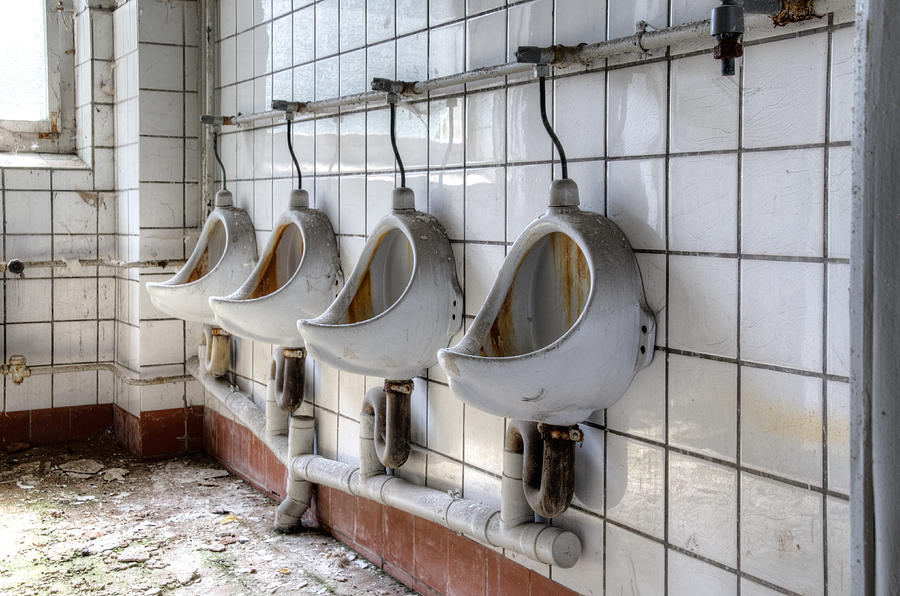 Abandoned Urinal Photograph by Marie Schleich