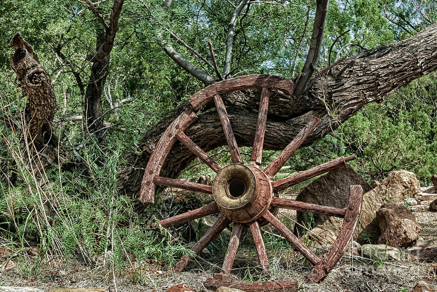 Abandoned wagon wheel Photograph by Paul Quinn