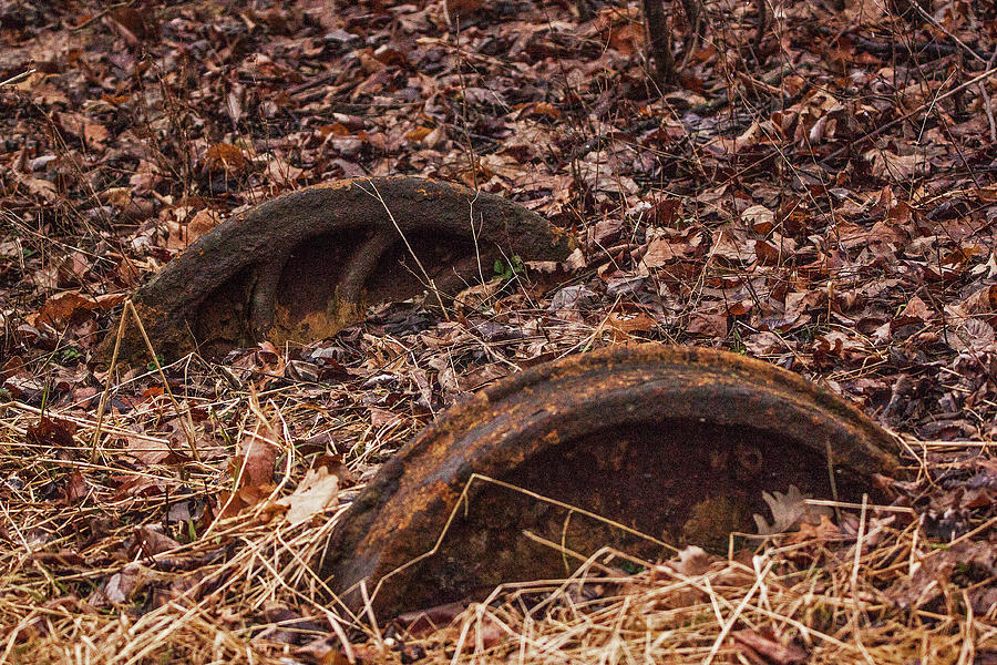 Abandoned Wheels Photograph by Ira Marcus