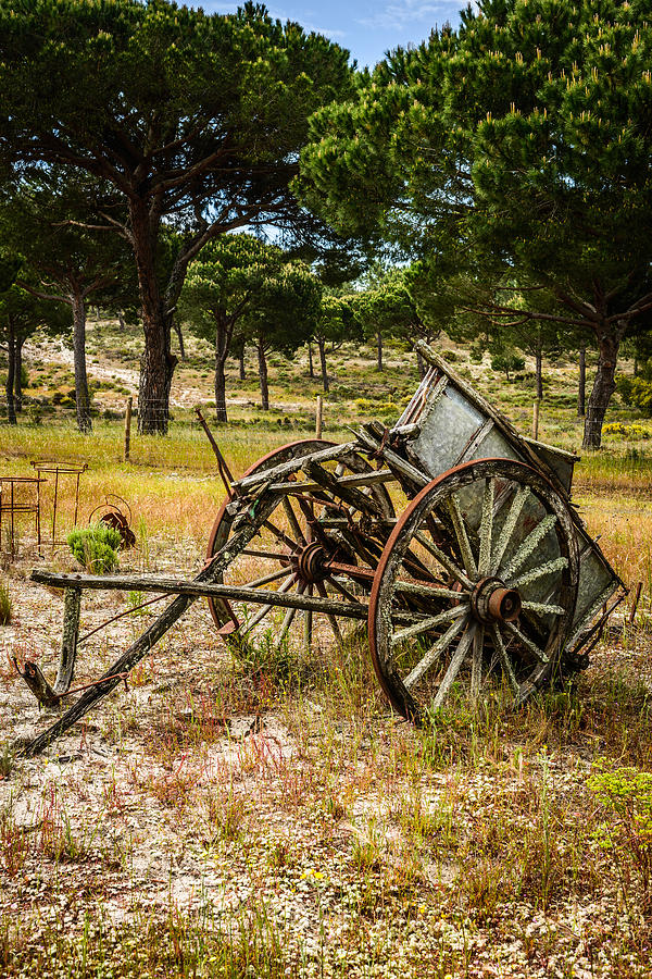 Abandoned Wooden Cart I Photograph by Marco Oliveira