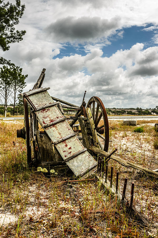 Abandoned Wooden Cart II Photograph by Marco Oliveira