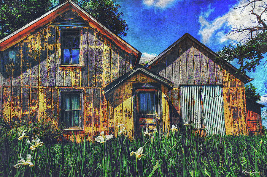 Abandoned Photograph - Abandoned Yellow Farm House by Anna Louise