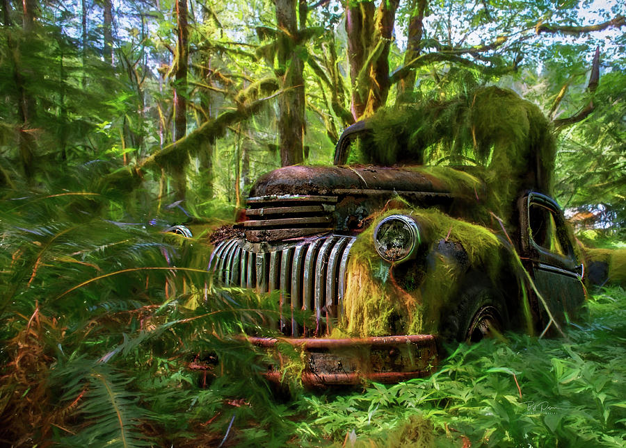 Abandoned in Forest Photograph by Bill Posner