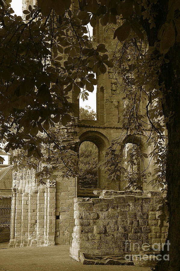 Abbey in Kelso. Photograph by Elena Perelman
