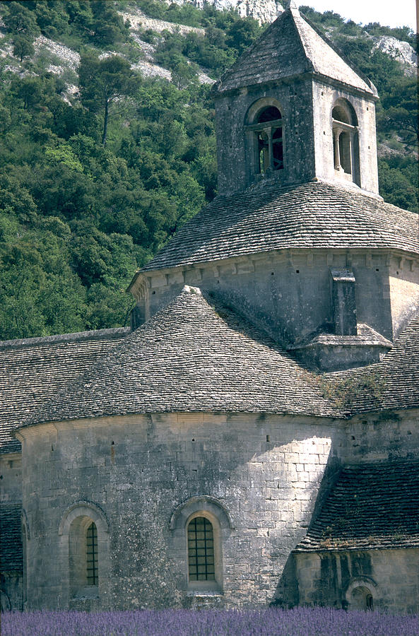 Abbeye de Senanque Photograph by Flavia Westerwelle