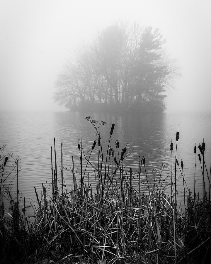 Abbot Lake Fog Photograph by Alan Raasch