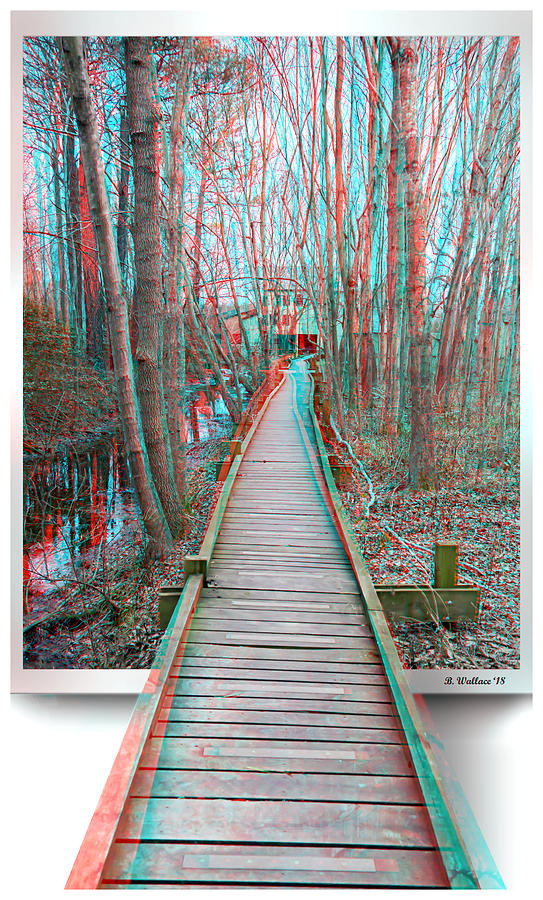Abbotts Nature Center Elevated Trail - Anaglyph Mixed Media by Brian Wallace