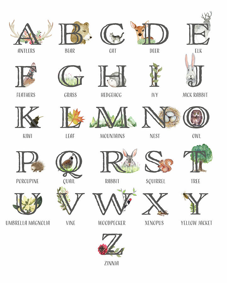 Deer Digital Art - ABC Woodland Alphabet Sampler by Pink Forest Cafe