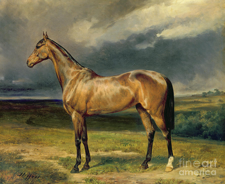 Abdul Medschid the chestnut arab horse Painting by Carl Constantin Steffeck