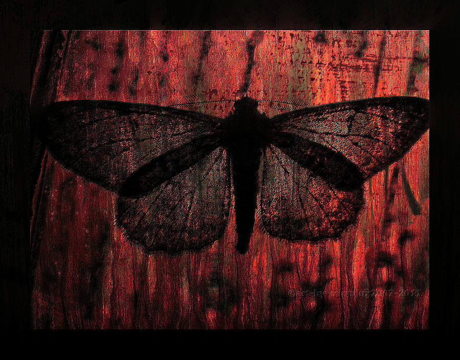 Abendrot Digital Art by Mimulux Patricia No Abendrot Digital Art by Mimulux Patricia No