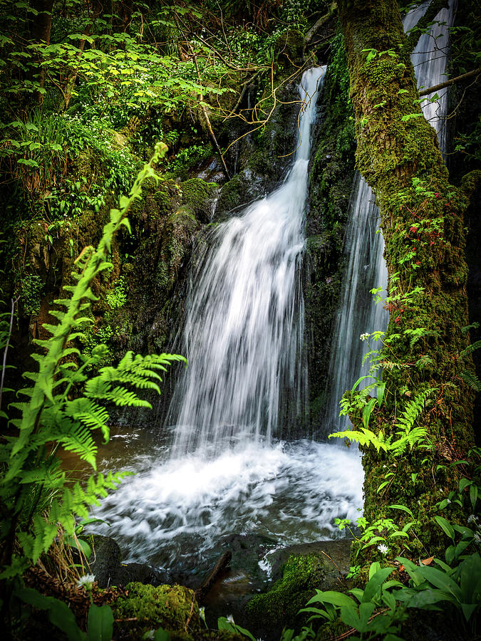 Aberfforest Waterfall Photograph by Mark Llewellyn