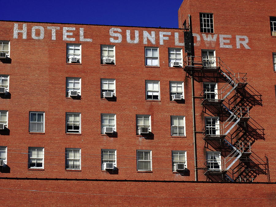 Abilene Kansas Hotel Sunflower Photograph by Frank Romeo