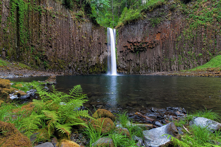 Abiqua Falls in Summer Photograph by David Gn