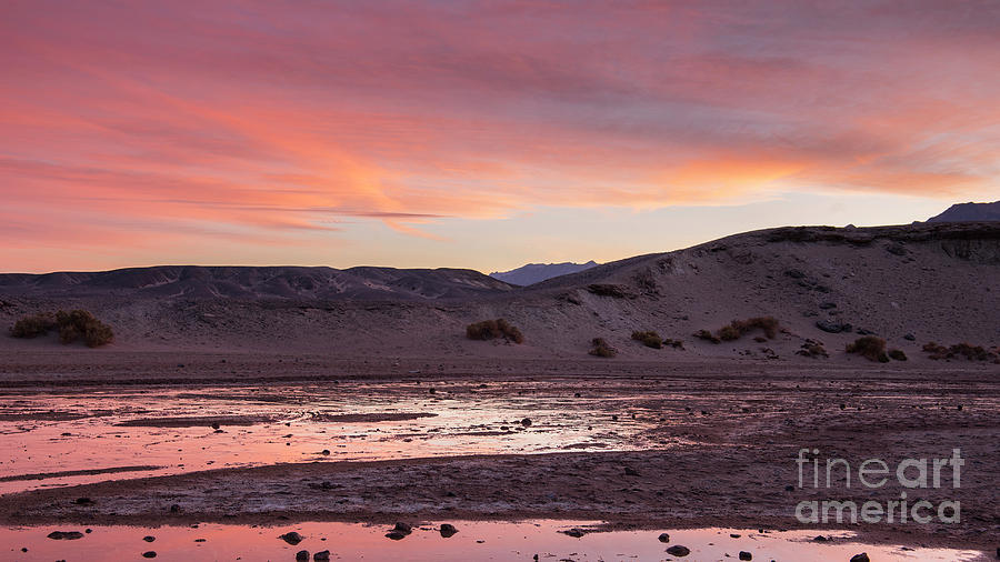 Ablaze - Death Valley National Park   Photograph by Sandra Bronstein