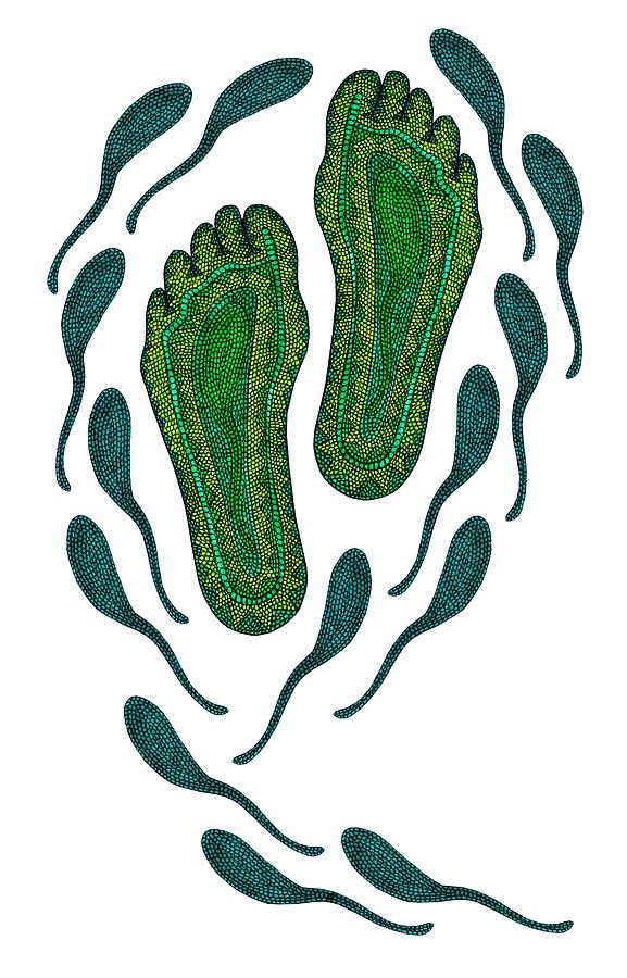 Aboriginal Footprints Green Transparent Background Digital Art by Barbara St Jean
