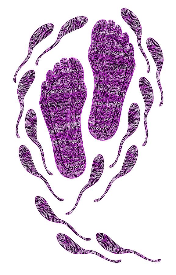 Aboriginal Footprints Purple Transparent Background Digital Art by Barbara St Jean