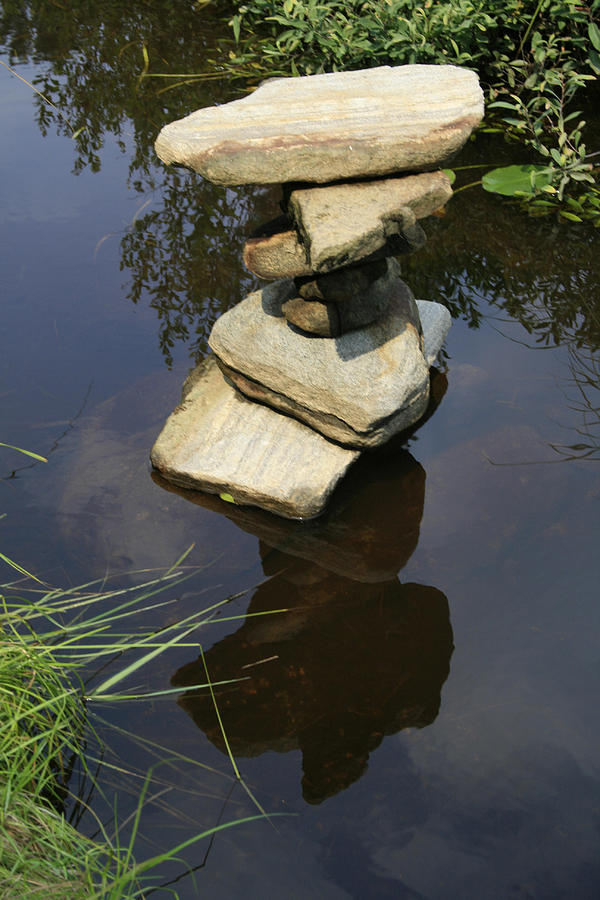 Nature Photograph - Above and Below by Alan Rutherford Nature Photograph - Above and Below by Alan Rutherford