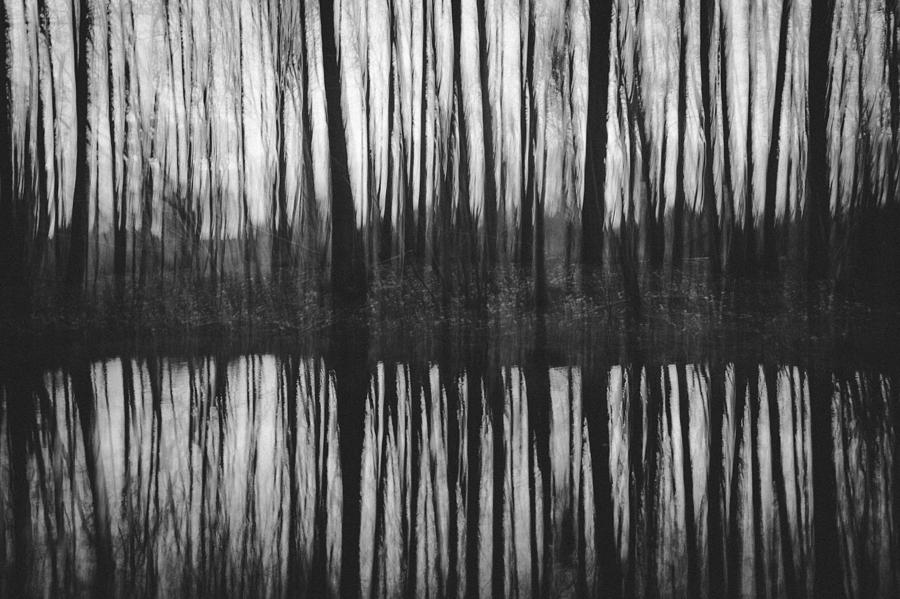 Water Photograph - Above And Below by Chris Dale Water Photograph - Above And Below by Chris Dale