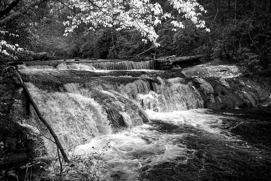 Above Bald River Falls In Black and White Photograph by Greg and Chrystal Mimbs