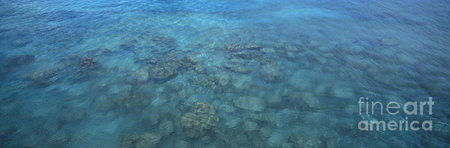 Above Reef Patterns Photograph by Bill Schildge - Printscapes