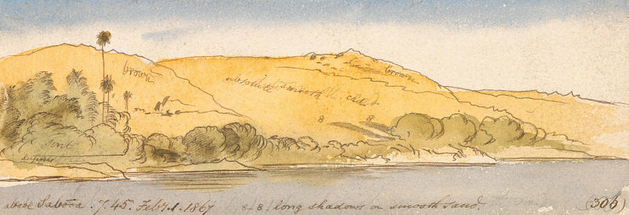 Above Sabooa Drawing by Edward Lear