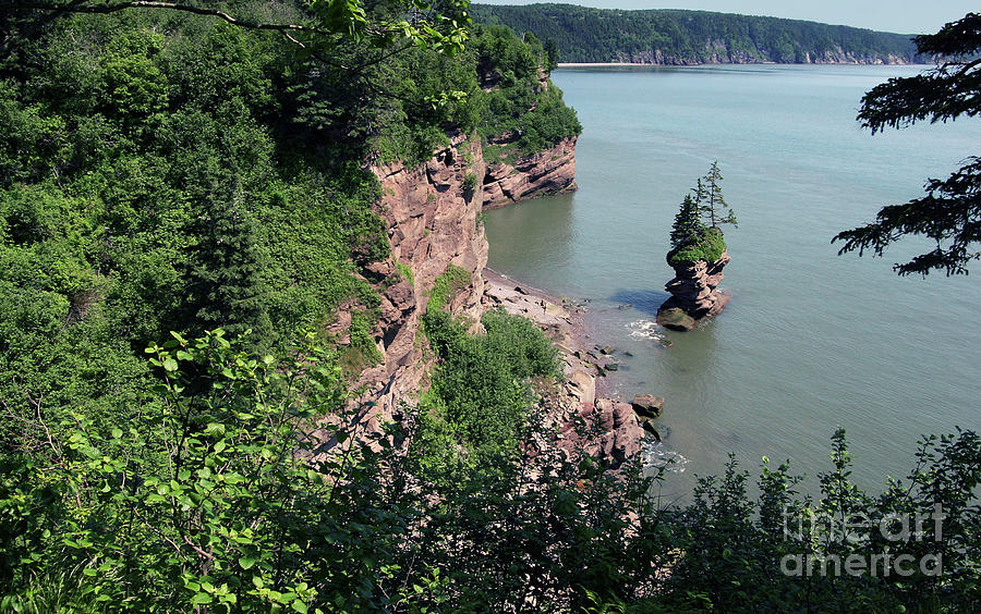 Above the Bay of Fundy Photograph by Art Cole