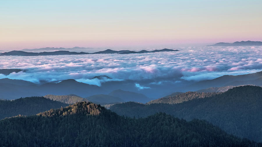 Above the Clouds at Myrtle Point Photograph by Jemmy Archer