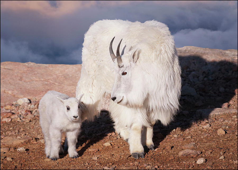 Above The Clouds. Mother and Kid  Photograph by OLena Art by Lena Owens - Vibrant DESIGN