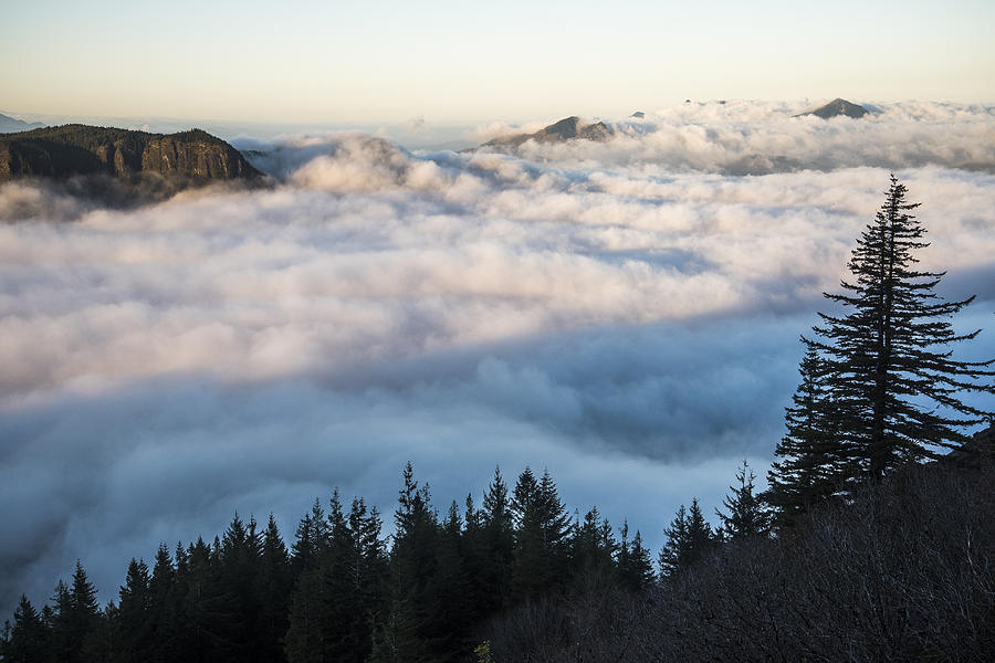 Above the Fog Photograph by Robert Potts