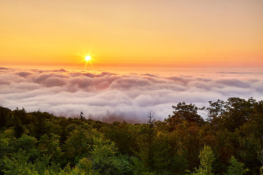 Above the Morning Fog Photograph by Brian Simpson