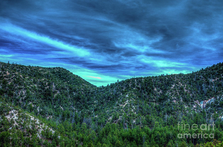 Above The Pines Photograph