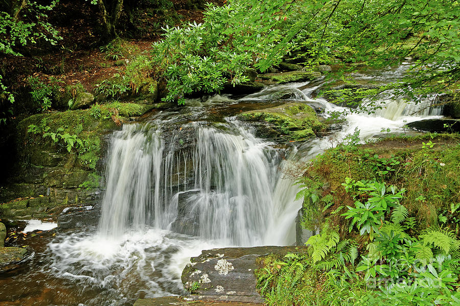 Above Torc Waterfall In Killarney National Park Photograph By