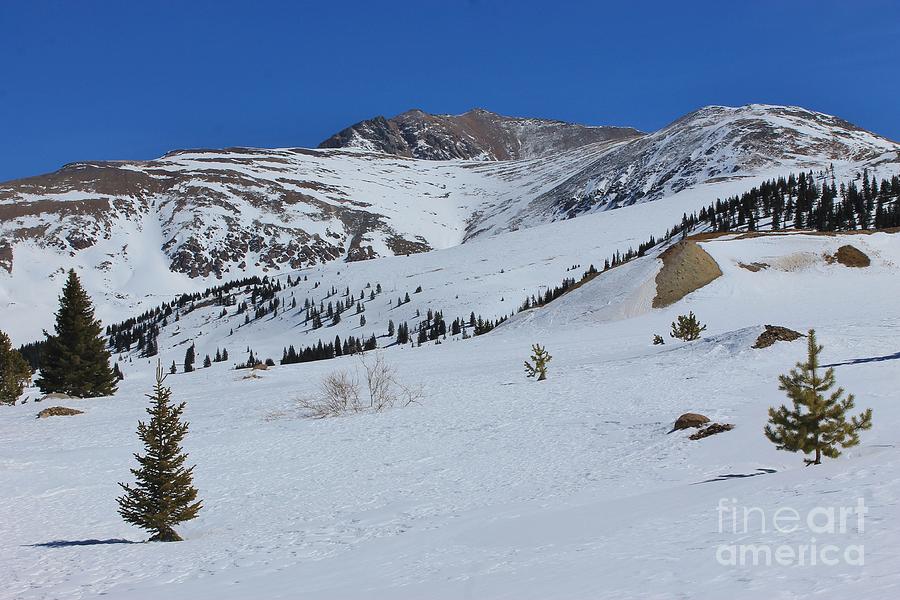 Above Treeline 2 Photograph by Tonya Hance - Fine Art America