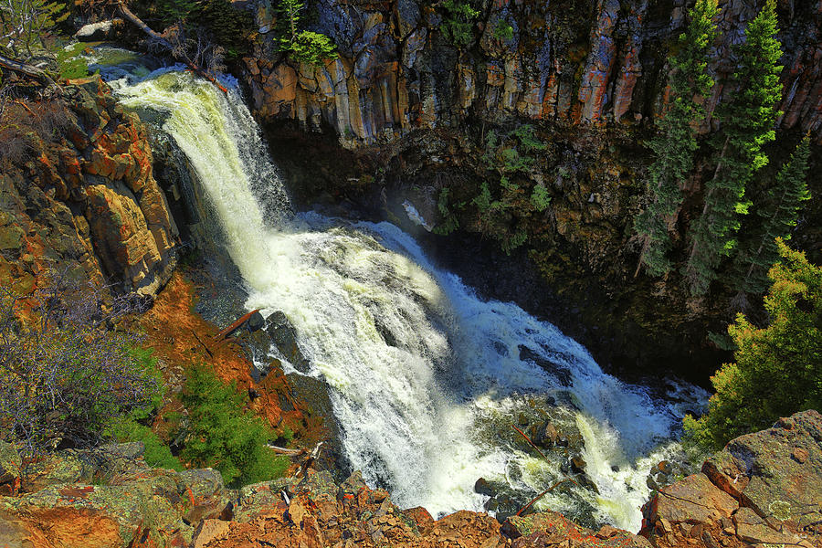 Above Undine Falls Photograph by Greg Norrell