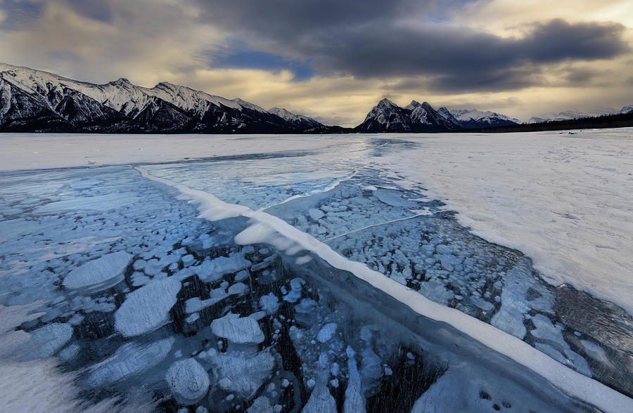 Abraham Lake Ice Bubbles Photograph by Dan Jurak