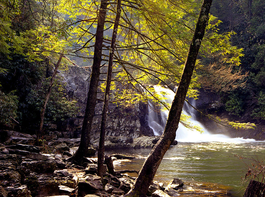 Abrams Falls Photograph by Richard Steinberger - Pixels