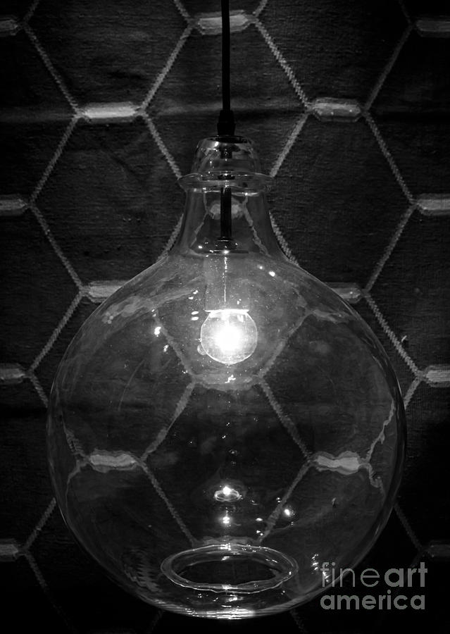 Black And White Photograph - Abs-orb-ed by James Aiken