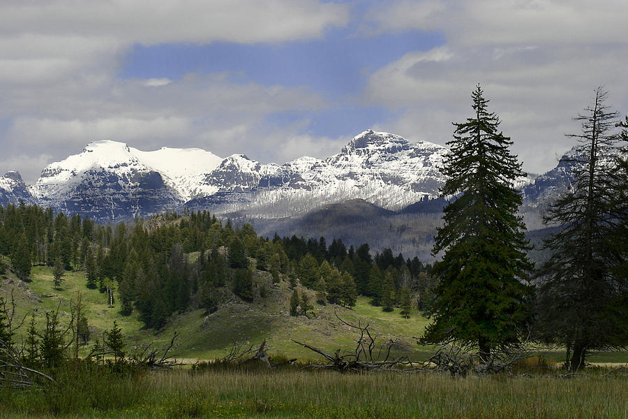 Absaroka Mts Wyoming Photograph by Shari Jardina